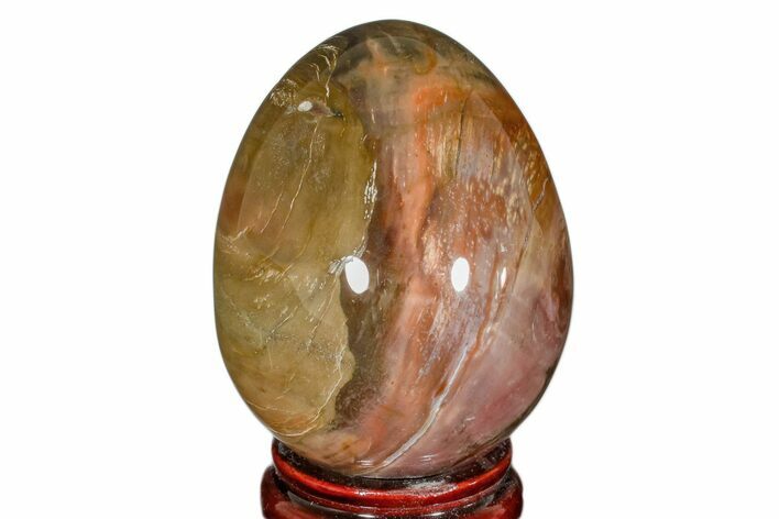 Colorful, Polished Petrified Wood Egg - Madagascar #172517